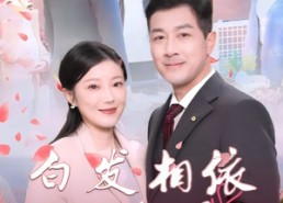 【心动对象是离婚老伴】31集免费短剧在线直看