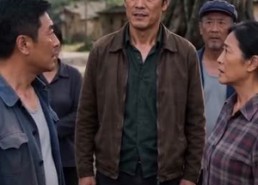 【槐花落满归家路】79集短剧在线完整观看