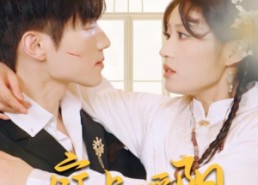 【庭上暖阳】61集免费短剧在线畅享观看