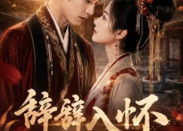 【辞辞入怀】64集精彩短剧免费畅享播放