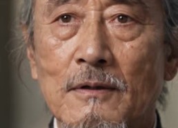 【青青田园暖，归乡千金开荒养全村第9季】222集短剧在线完整观看