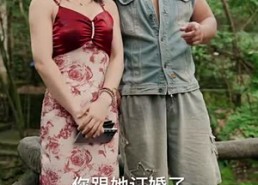 【蛛网逃生】60集在线短剧免费全集览