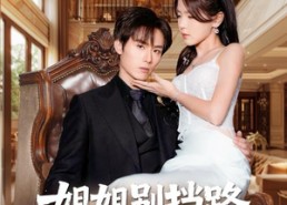 【姐姐别挡路，哥哥是我的】80集免费短剧全集畅看