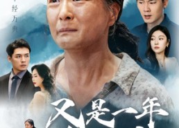 【又是一年金秋月】55集短剧免费全集观瞧