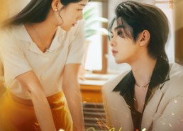 【四野如火】79集免费短剧全集观看