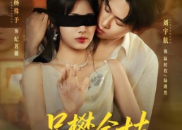 【另攀高枝】60集短剧免费在线全集享