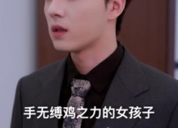 【婚后钟情】43集短剧免费高清在线观看
