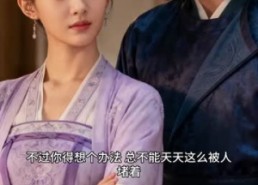 【看胎搞疯全皇宫】30集短剧全集免费观瞧