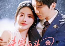 【未寄白头雪满枝】61集短剧全网免费观看