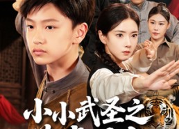 【小小武圣之萌虎下山】62集短剧全集免费随心看