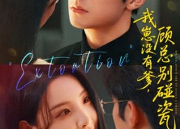 【我崽没有爹顾总别碰瓷】71集短剧完整版在线速看