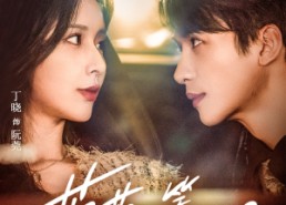 【莞莞一笑很倾城】62集短剧免费在线览看