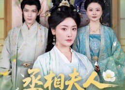 【丞相夫人，今天休夫了】60集短剧免费在线赏看