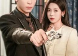 【顾少的隐婚小娇妻】60集免费短剧全集尽情观看