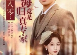 【重生八零：假海归竟是真专家】65集短剧在线免费全集赏