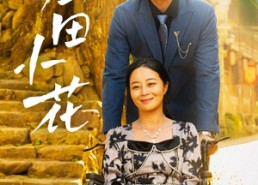 【俺妈田小花】64集高清短剧在线观览