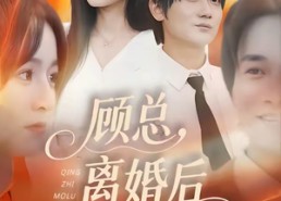 【顾总，离婚后情至陌路】62集短剧在线免费完整看