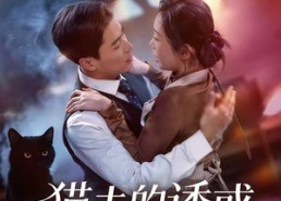 【猫夫的诱惑】52集短剧免费在线看全集