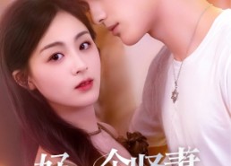 【好一个贤妻】55集在线看短剧全集免费