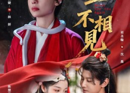 【此生不相见】84集短剧全集免费在线赏览