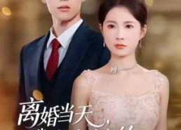 【离婚当天，我嫁给首富的冷面孙子】42集短剧在线看全集免费