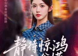 【静待惊鸿入翁慌】40集短剧全集在线免费畅享