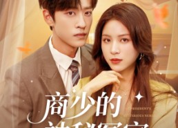 【商少的神秘冤家】82集短剧免费全集赏看