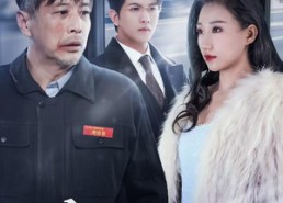 【模范司机】30集短剧全集免费畅览看