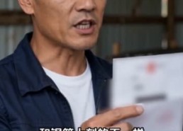【逆风守桥】32集精彩短剧免费全集赏看