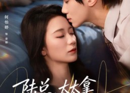 【陆总，太太拿到离婚证跑了】86集短剧免费全集速看