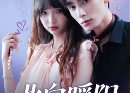 【北向暖阳】80集在线免费短剧全集看