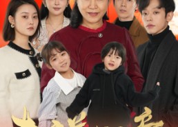 【吉祥如意过大年】57集短剧全集免费观看