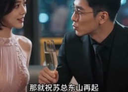 【良善有价】65集热门短剧免费在线播