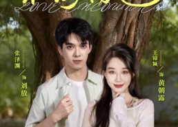 【不期而遇】62集在线短剧免费无删减观看