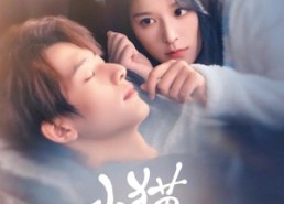 【小猫捉到月亮啦】80集高清短剧免费观看