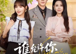 【谁允许你当女主了】60集全网短剧免费全集览