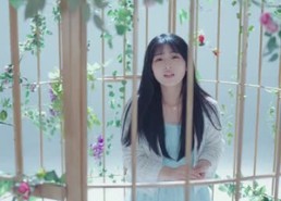 【一书烬欢】70集短剧免费高清在线观看