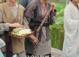 【精忠报国】41集短剧全集免费畅看