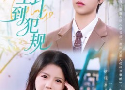 【这女主野到犯规】69集超火短剧免费在线观看