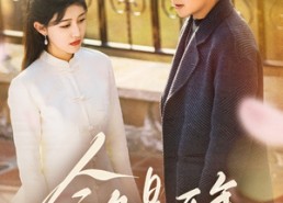 【今夕是何年】61集短剧免费全集尽情看