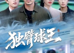 【独臂球王】82集免费在线短剧全集观