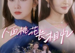 【人面桃花长相忆】81集短剧在线免费完整观看