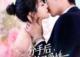 【分手后我嫁给了爱情】60集短剧免费全集流畅赏