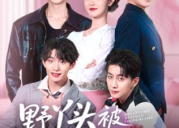 【野丫头被哥哥们宠坏了】80集短剧免费全集观映