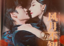 【风月不知君】60集短剧免费全集观享