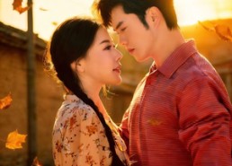 【乡村李神医】80集短剧免费高清在线观看