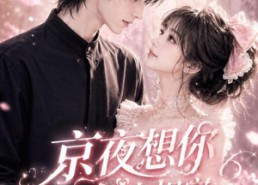 【京夜想你之余生相守】128集短剧在线免费赏全集