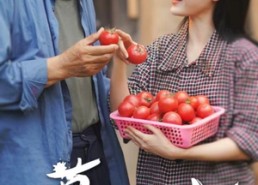 【春草向阳而生】53集免费短剧在线全集观