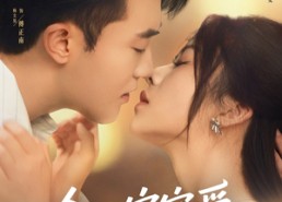 【今日宜宠爱】80集短剧完整版在线赏