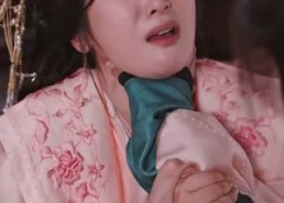 【九重锦】99集短剧免费高清在线看